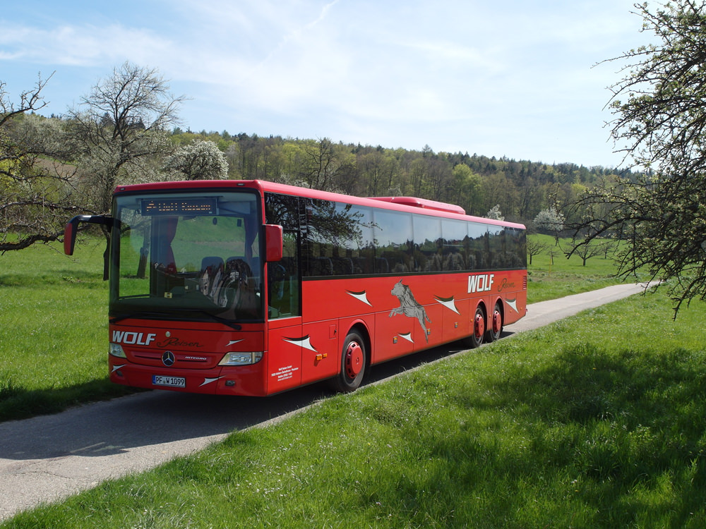 wolfreisen_fuhrpark_PF-W-1099a.jpg