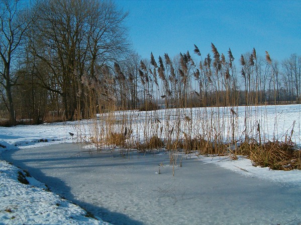2pb2552_1304.jpg
