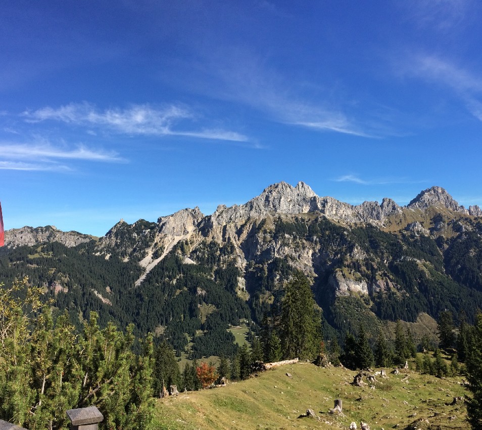 6ff0718_1462.jpg