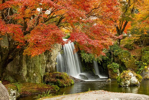 8bg0018_1455.jpg